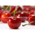 Red Cherry Dehydrated Style Dried Cherry with Good Price